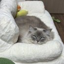 다비치안경 구리교문점 이미지