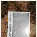 고동치 이미지
