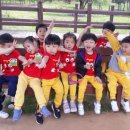 태호목장 이미지