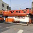[조경수직거래]나무다움 정읍농장 방문기1(행복꽃농원)