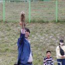 레인보우 버블쇼 이미지