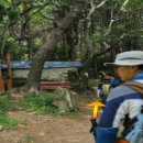 새구봉천 이미지