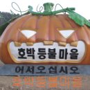 능원3리 이미지