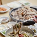 콧등치기
