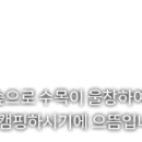 금관숲캠핑장 이미지
