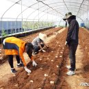 천마축산 이미지