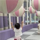 다솜어린이집 | 가격보단 아이의 만족이 중요한 김천영아어린이집 선택의 기준, 주변에 진심 추천하는 이유