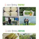 이기순농장 이미지
