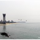 짚트랙 네이버블로그