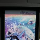 리나센트 이미지