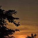 쉽게 배우는 스마트폰 사진 편집 이미지