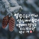 결실 이미지