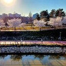 선형농장 이미지