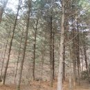 내촌면복지회관 이미지