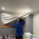 비엔비 | 종로방역 에어비엔비방역 후기｜벌레 한 마리 없던 숙소에 종로바퀴벌레 방역을 한 이유