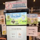롯데리아 부산물만골 역점 | 롯데리아 메뉴 말차 아이스샷 여름 디저트 후기 with 떼리앙