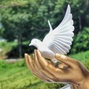 운계2구 이미지