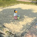 도란도란어린이공원 이미지