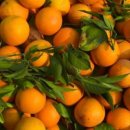 크리스탈약국 이미지