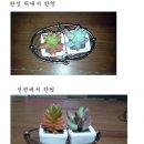 아이와이어 이미지