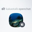 서해다이브