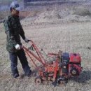 잔디 농장 이미지