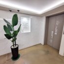 스테이 머무름 이미지