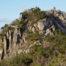 서호북초등학교 이미지