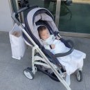 양지명품세탁소 이미지