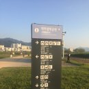 낙동강관리본부 대저생태공원 1 이미지
