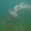 남해-296 이미지