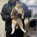 아놔뽑기방 | 12월 첫째 주 일상 어떻게 사람이 일주일 내내 돼지런