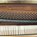 안산중부지역아동센터 이미지