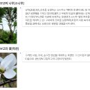 신반정보고등학교 이미지