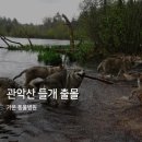 가온 동물병원 이미지