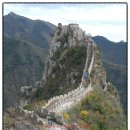 금배농장 이미지