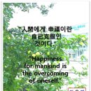 빛장이 네이버블로그
