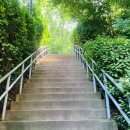 새스마일분식 이미지