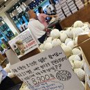 파머스마켓배지레빗804 이미지