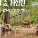 서달산 수목학습원 이미지