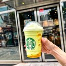 제주벅스코리아 이미지