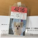 째깐이 이미지