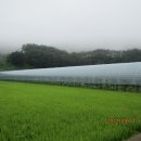 예천목장 이미지