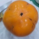 우리가스충전소 이미지