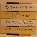 길 제3회 솔터 캘리그라피 그룹전 2025. 04.07.~04.12. 부산광역시청 제1전시실 (후기)