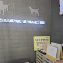 대학로동물병원 이미지