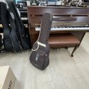 세종프라자 | 도담동 도램마을 세종월드악기피아노프라자 | 기타 내돈내산 구매 후기🎸