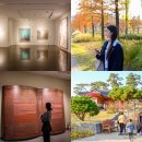 허준테마거리 | 서울 실내 데이트 가볼만한곳 강서구 마곡 서울식물원 겸재정선미술관 허준박물관