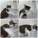 세븐일레븐 부산좌동삼성점 | 우연 같은 필연으로 또 만나 우리