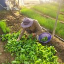 진례농협주유소 이미지